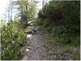 Planina Zajavornik - Viševnik